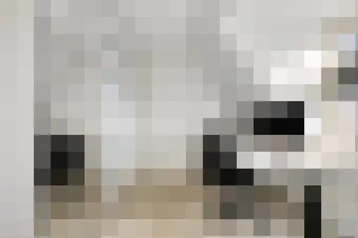 Smidse 9 Geffen thumbnail 30