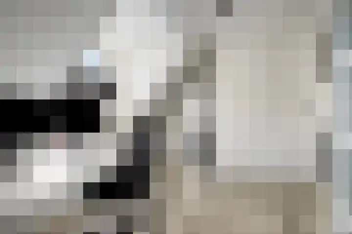 Smidse 9 Geffen thumbnail 31