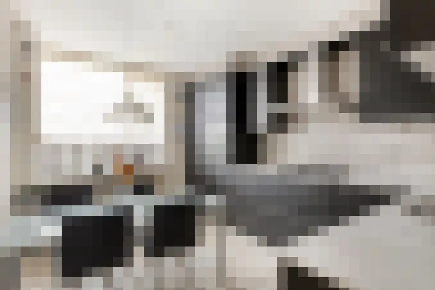 Smidse 97 Schaijk thumbnail 16