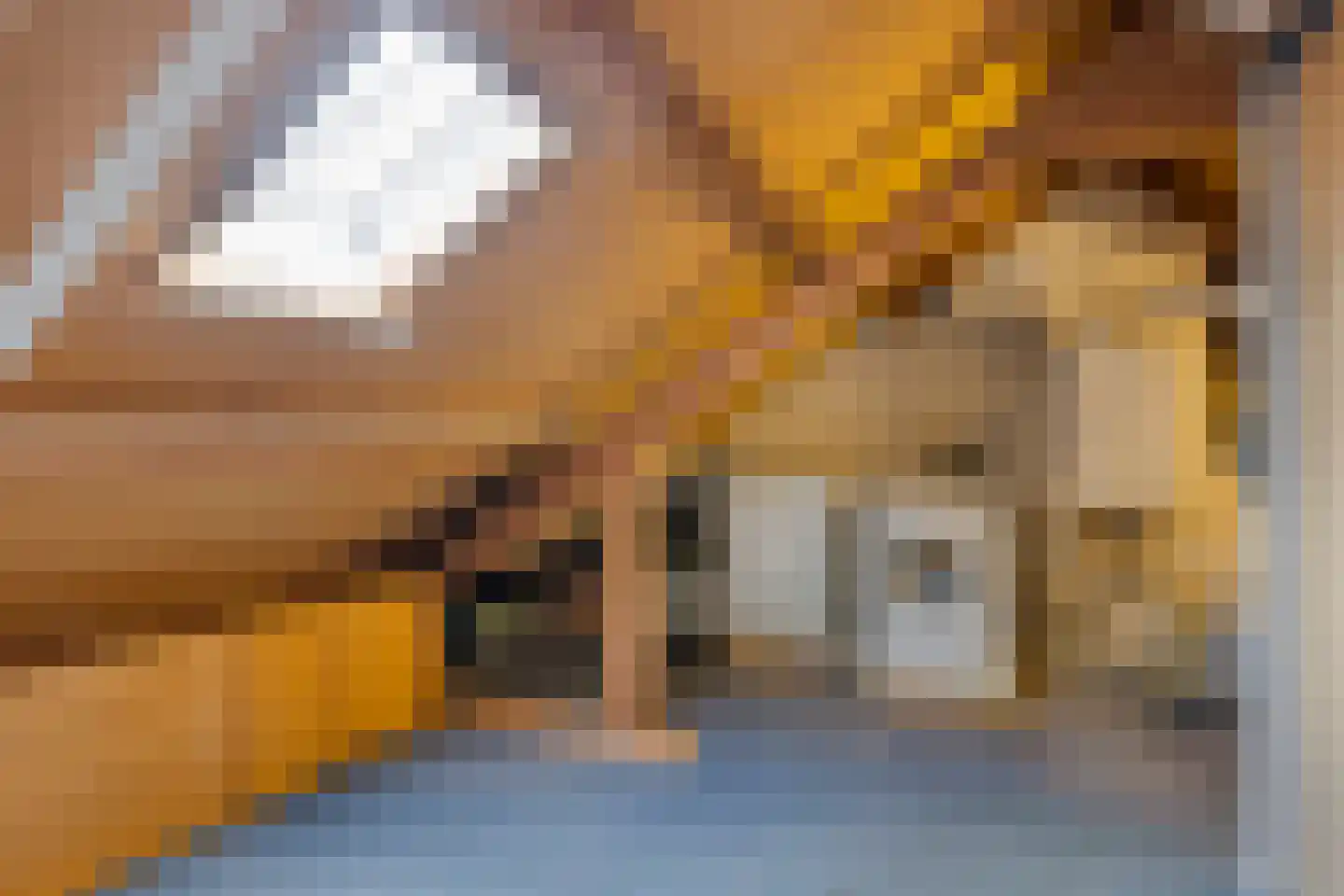 Smidse 97 Schaijk thumbnail 29