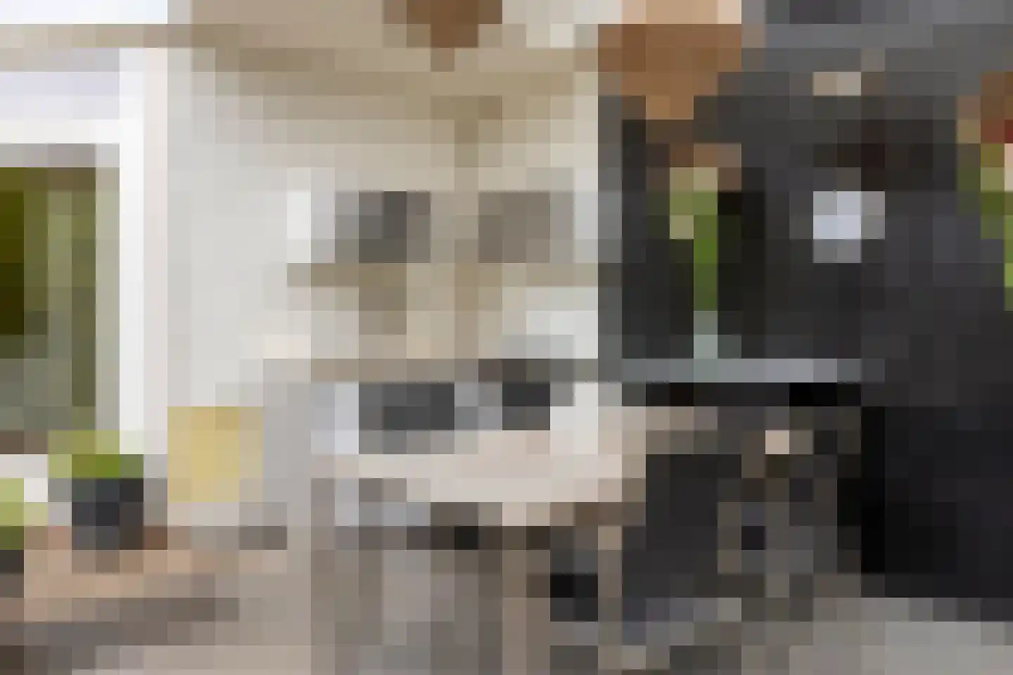 Smidse 97 Schaijk thumbnail 34