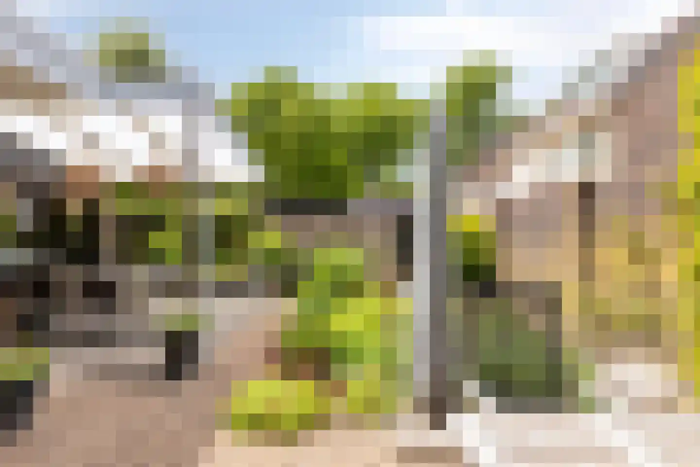 Smidse 97 Schaijk thumbnail 7