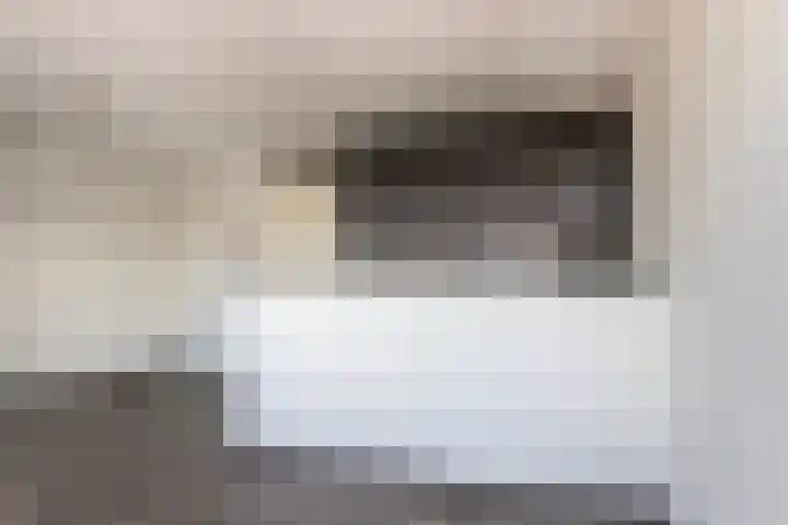 Smidseind 57 Bladel thumbnail 10