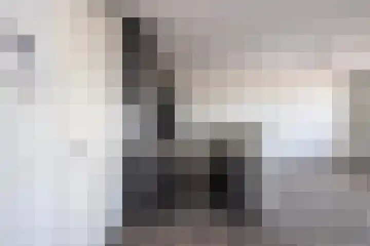 Smidseind 57 Bladel thumbnail 11