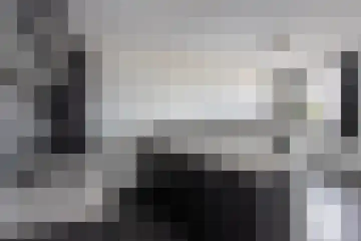 Smidseind 57 Bladel thumbnail 12
