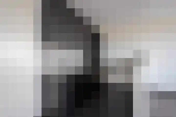 Smidseind 57 Bladel thumbnail 13