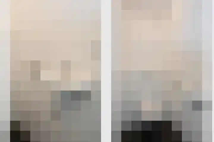 Smidseind 57 Bladel thumbnail 18