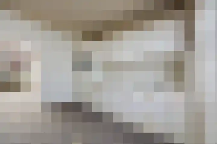 Smidseind 57 Bladel thumbnail 22