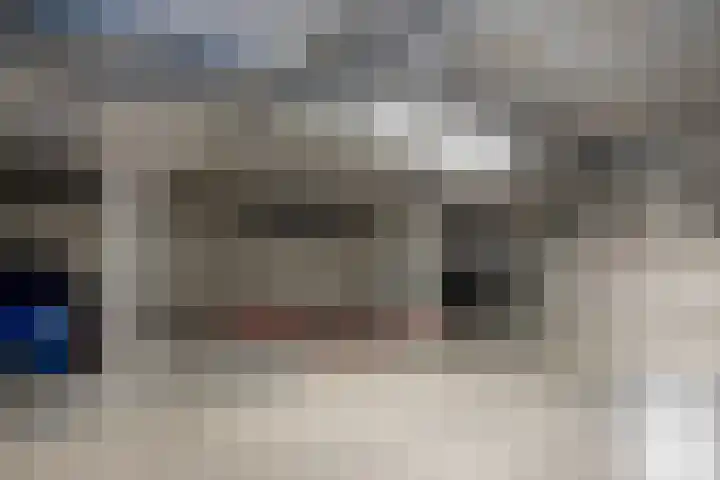 Smidseind 57 Bladel thumbnail 23