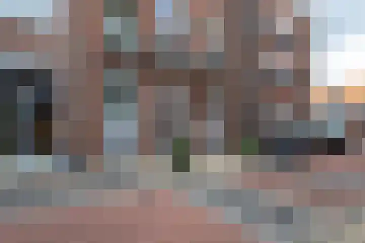 Smidseind 57 Bladel thumbnail 24