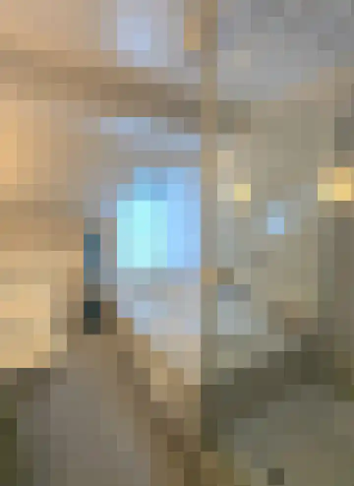 Smidseind 57 Bladel thumbnail 25