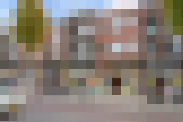 Smidseind 57 Bladel thumbnail 25