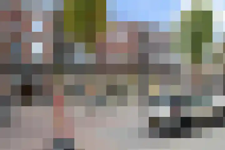 Smidseind 57 Bladel thumbnail 26