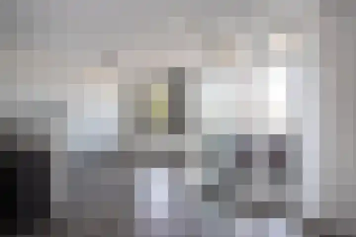 Smidseind 57 Bladel thumbnail 5