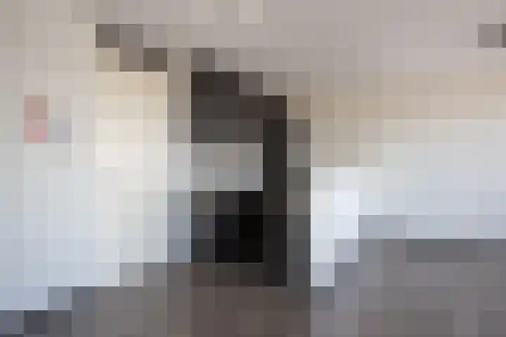 Smidseind 57 Bladel thumbnail 9