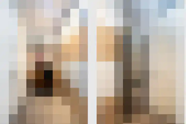 Smidseind 61 Bladel thumbnail 12