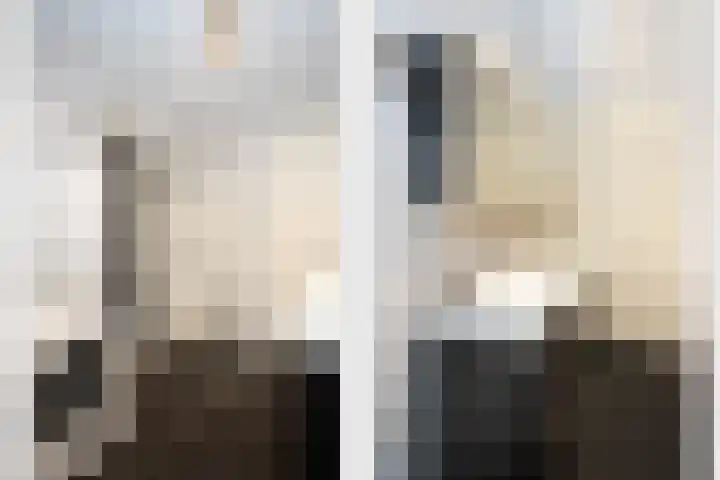 Smidseind 61 Bladel thumbnail 13