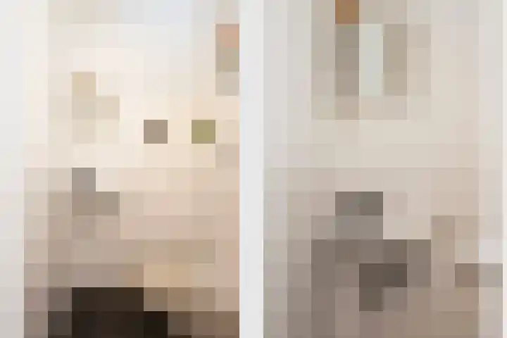Smidseind 61 Bladel thumbnail 14