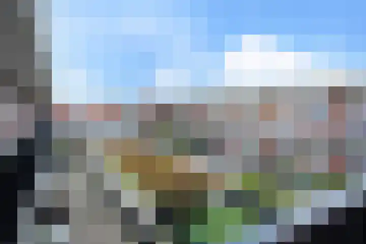 Smidseind 61 Bladel thumbnail 16