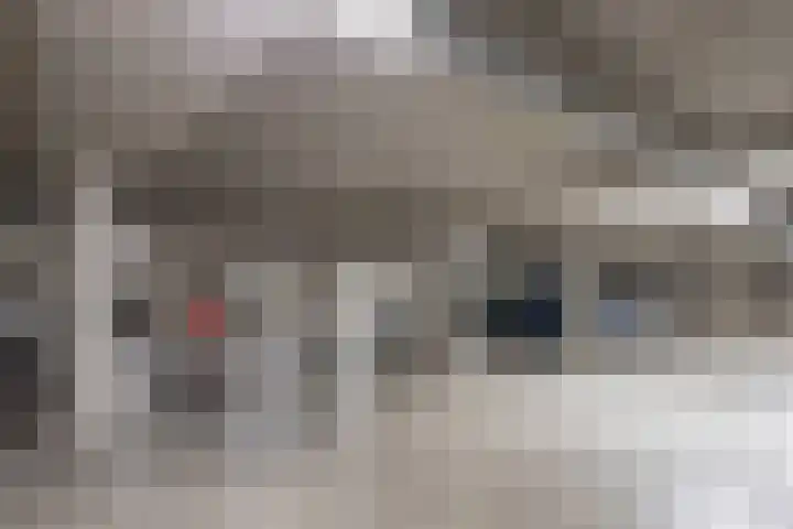 Smidseind 61 Bladel thumbnail 18