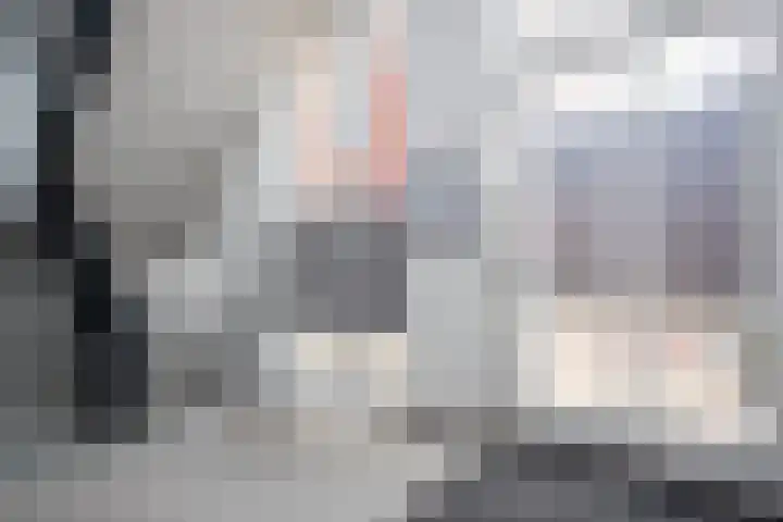 Smidseind 61 Bladel thumbnail 4