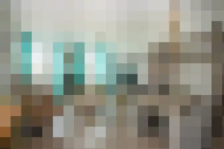 Smidseind 61 Bladel thumbnail 8