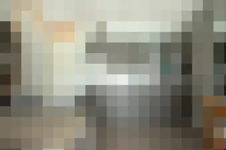 Smidseind 61 Bladel thumbnail 9