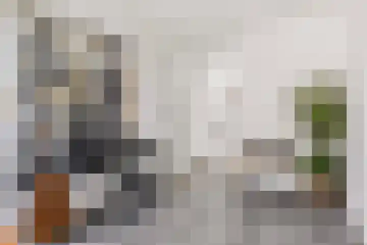Smidseind 63 Bladel thumbnail 10