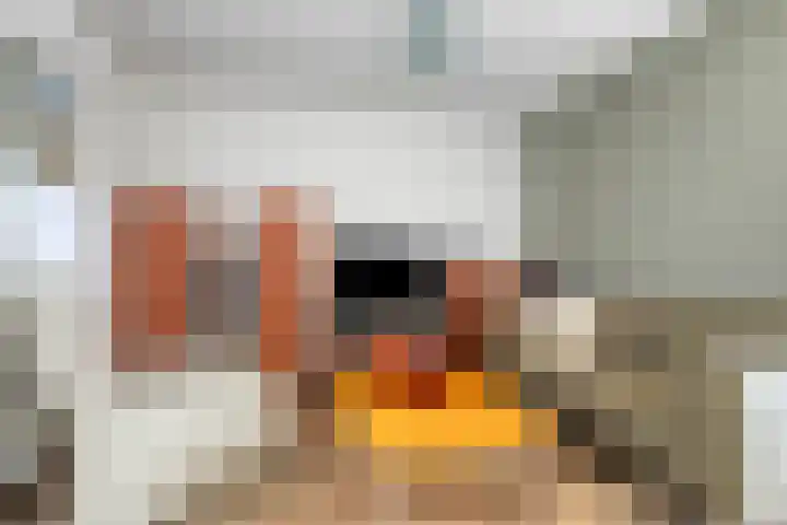 Smidseind 63 Bladel thumbnail 13