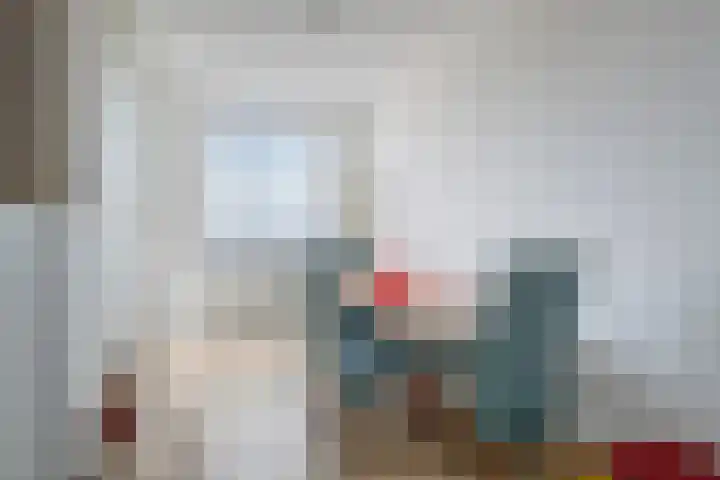 Smidseind 63 Bladel thumbnail 14