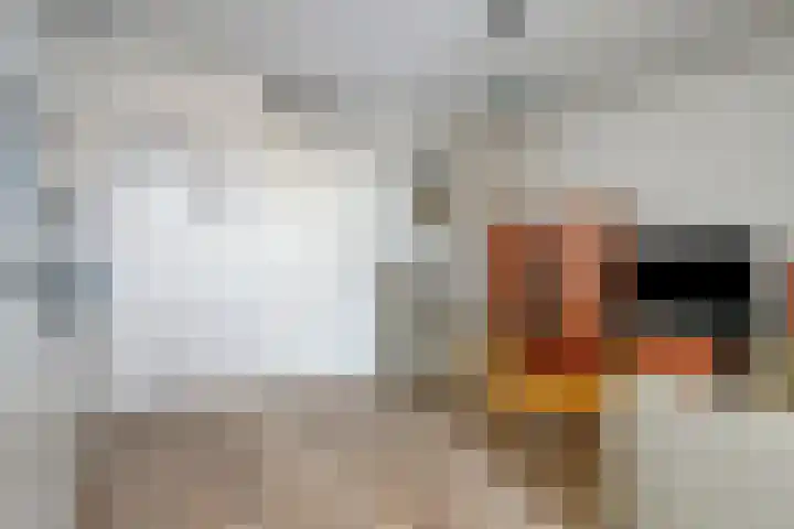 Smidseind 63 Bladel thumbnail 16