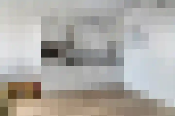 Smidseind 63 Bladel thumbnail 17