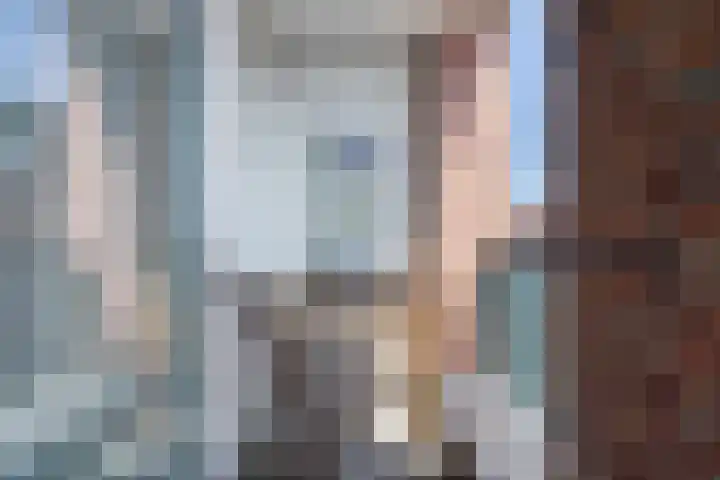 Smidseind 63 Bladel thumbnail 18