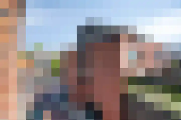 Smidseind 63 Bladel thumbnail 19