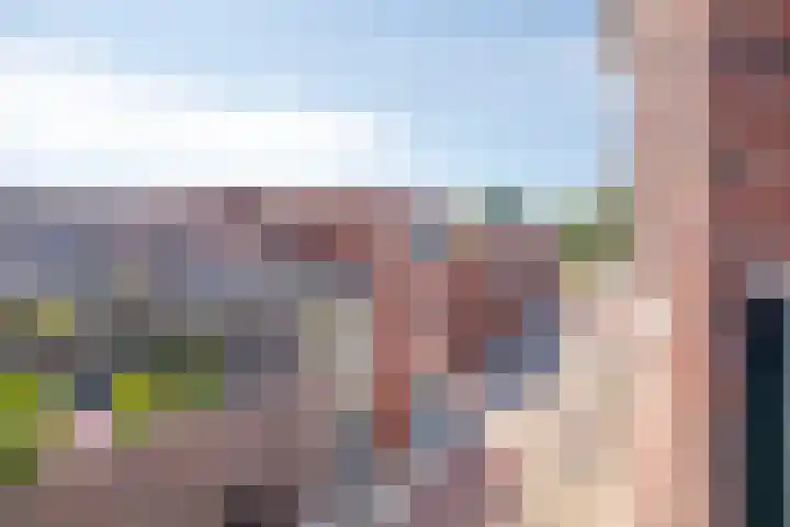 Smidseind 63 Bladel thumbnail 20