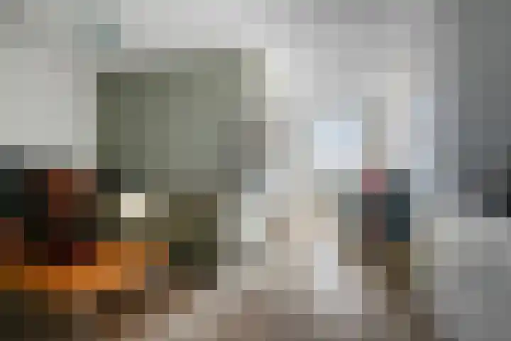 Smidseind 63 Bladel foto 3