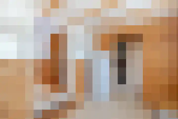 Smidseind 63 Bladel thumbnail 31