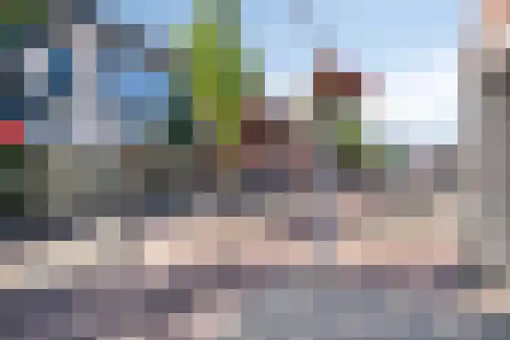 Smidseind 63 Bladel thumbnail 31