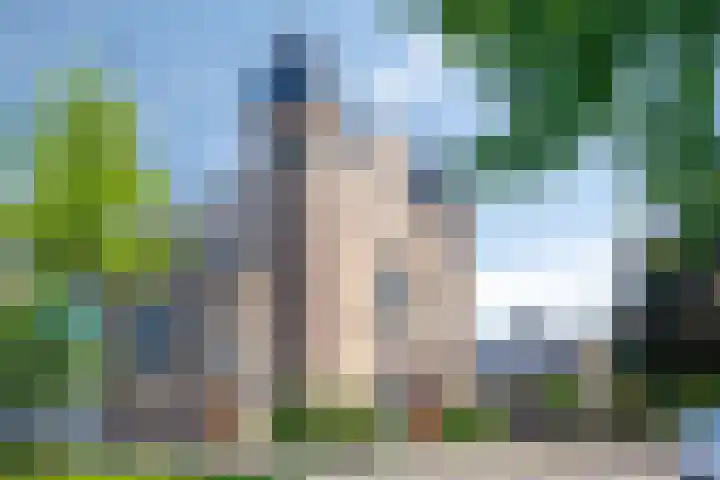 Smidseind 63 Bladel thumbnail 32