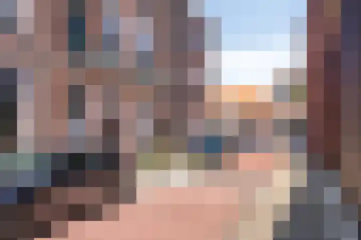 Smidseind 63 Bladel thumbnail 4