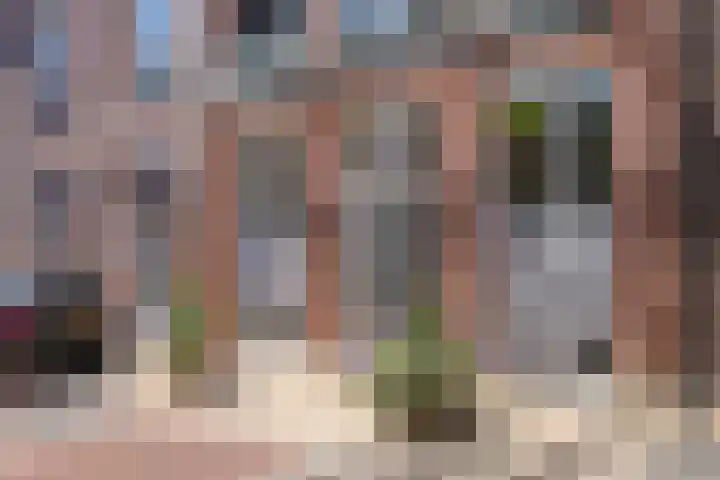 Smidseind 63 Bladel thumbnail 5