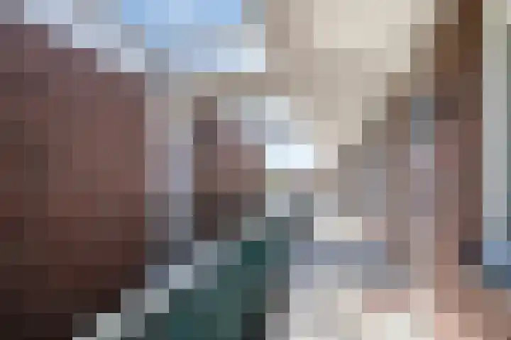 Smidseind 63 Bladel thumbnail 7