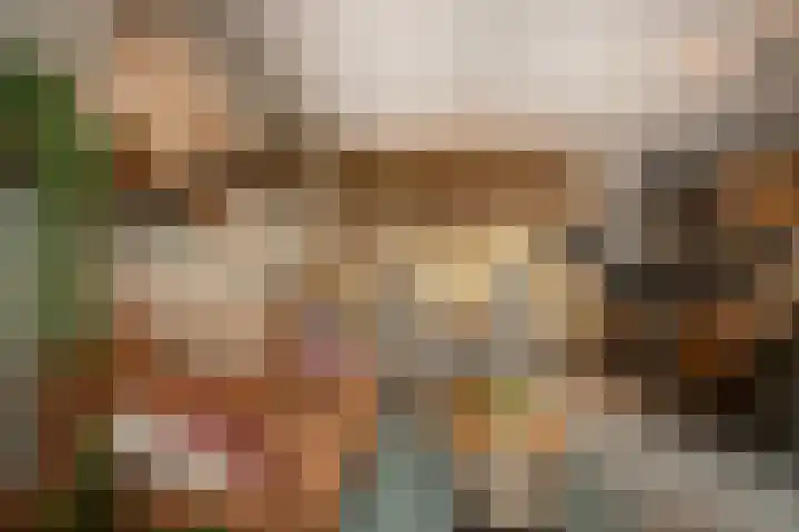Smidseind 73 Bladel thumbnail 12