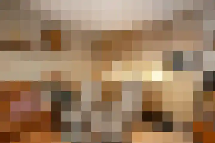 Smidseind 73 Bladel thumbnail 13
