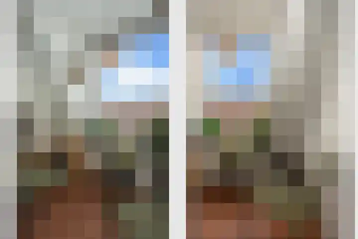 Smidseind 73 Bladel thumbnail 14