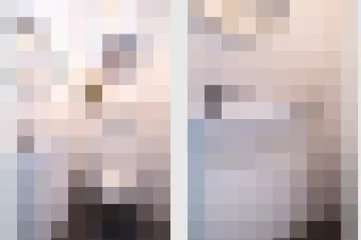 Smidseind 73 Bladel thumbnail 19