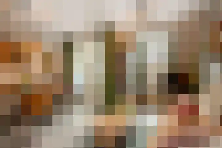 Smidseind 73 Bladel foto 2