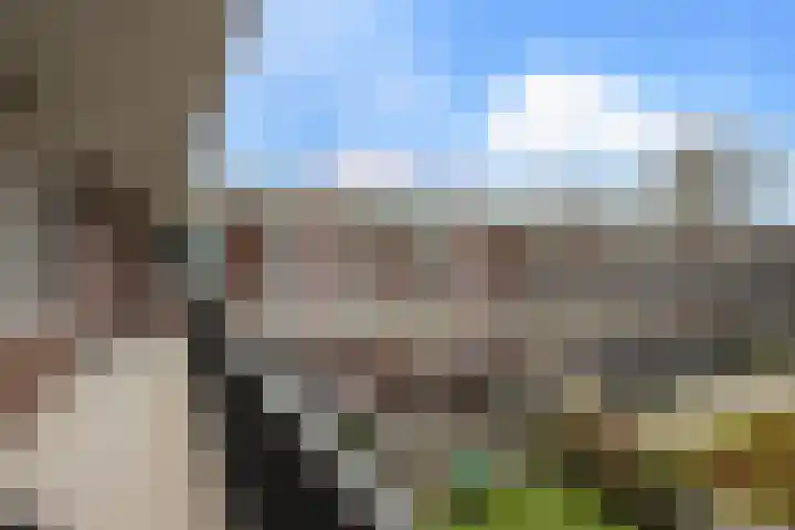 Smidseind 73 Bladel thumbnail 20