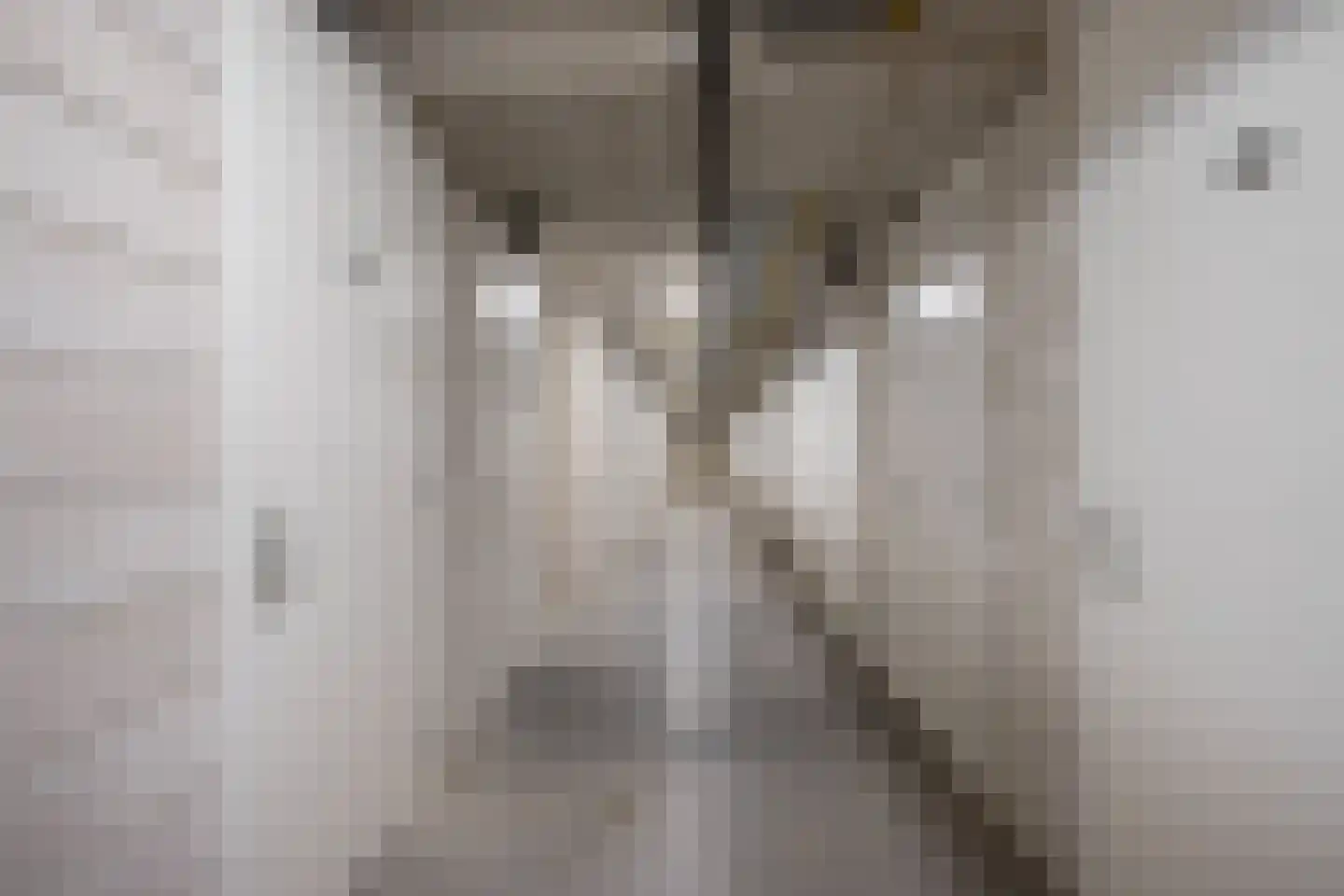 Smidseind 73 Bladel thumbnail 22