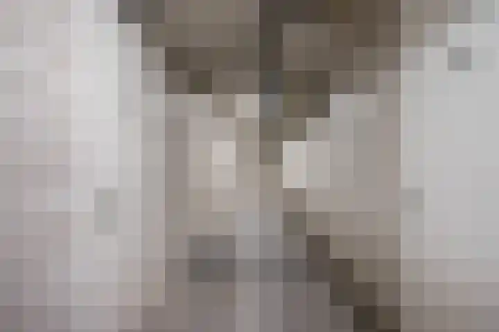 Smidseind 73 Bladel thumbnail 22